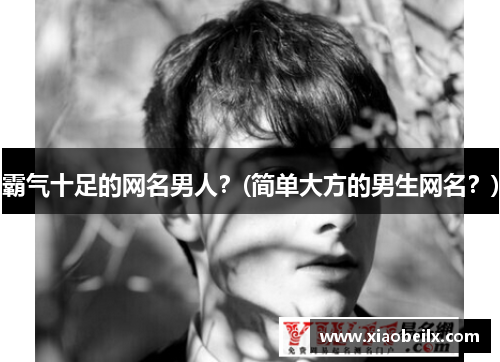 霸气十足的网名男人？(简单大方的男生网名？)