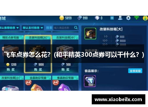 飞车点券怎么花？(和平精英300点券可以干什么？)